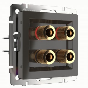 Розетка для акустических систем AUDIOx4  Серо-коричневый.  Серо-коричневый. Werkel W1185007