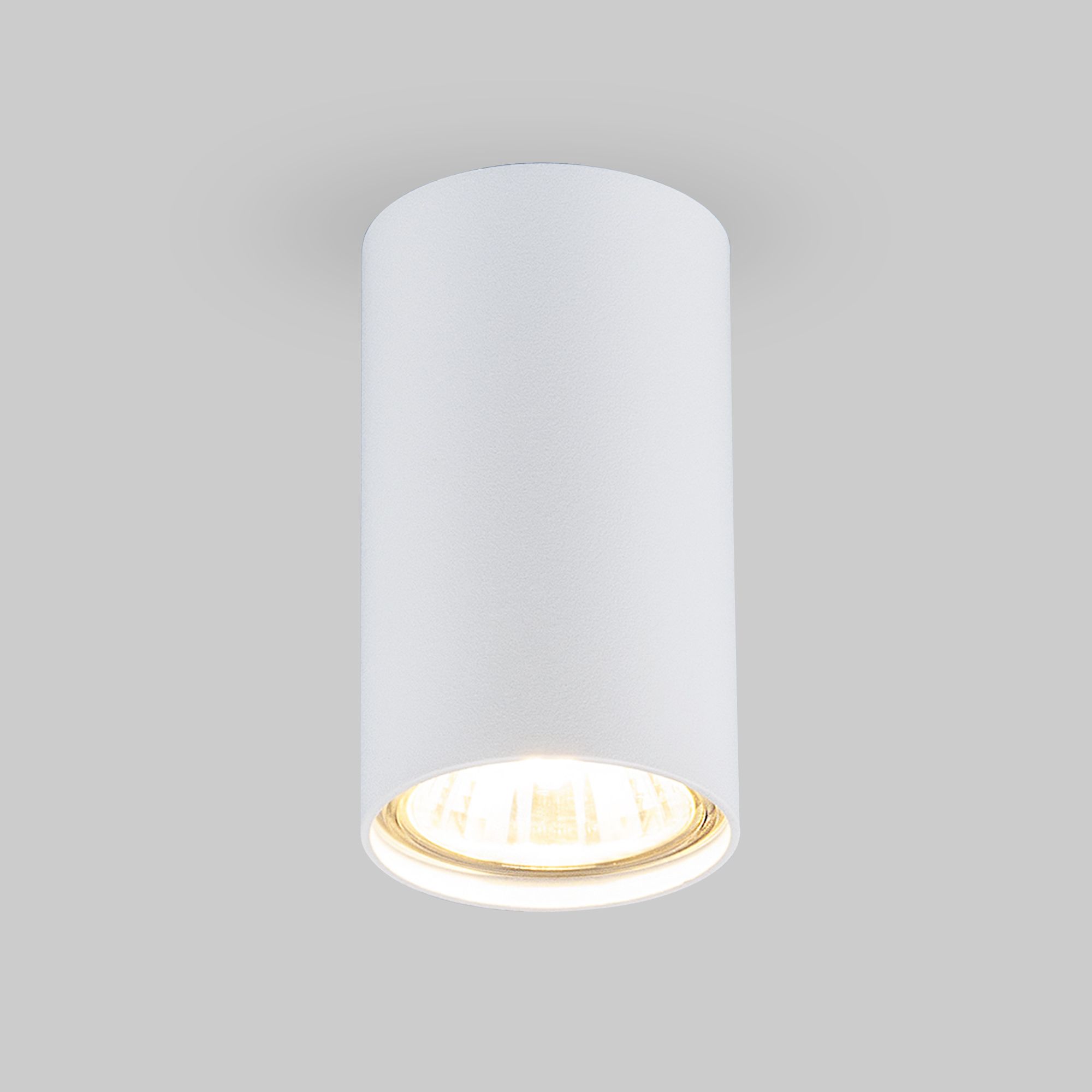 1081 GU10 WH.(a037712).Elektrostandard. Светильник потолочный, накладной.Белый, 1*GU10 50W 230V 20