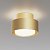 C092CL-GX53-MG. Maytoni Technical. Потолочный светильник.Матовое Золото, 1*GX53 15W 240V IP 20