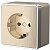 Розетка с заземлением IP20 16A шампань рифленый, хром. Werkel W5071010