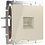 Розетка Ethernet RJ-45 Кат.5е. Слоновая кость. Слоновая кость. Werkel W1181003