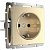 Розетка с заземлением IP20 16A шампань. Шампань рифленый. Werkel W1171010