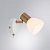 Настенно-потолочный светильник. Белый, золотистый 1*E14 40W 220V. Arte Lamp FALENA A3117AP-1WH