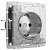 Розетка с заземлением IP20 16A Серебряный. Werkel W1271006
