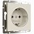 Розетка с заземлением IP20 16A Айвори. Айвори матовый. Werkel W1171062