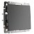Выключатель 1-клавишный IP20 Графит Рифленый.Werkel. W1110004