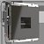Розетка Ethernet RJ-45 1-модуль Серо-коричневый. Серо-коричневый. Werkel W1181007